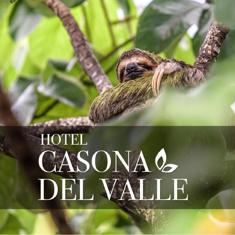 Casona Del Valle Potrerillos المظهر الخارجي الصورة